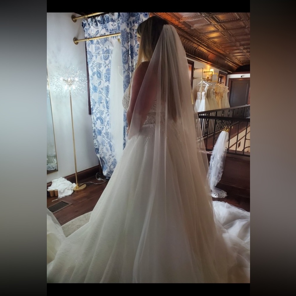 Pronovias White Wedding Dress - Picture 8 of 10